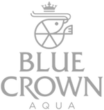 Blue Crown Aqua