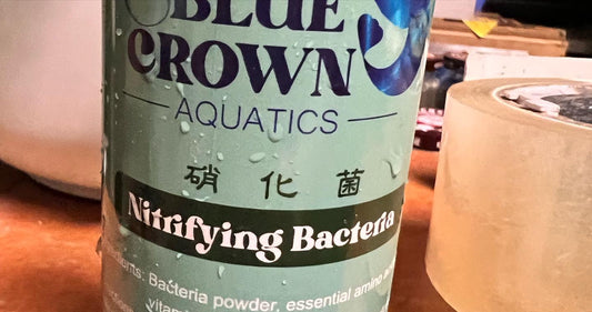 Nitrifying Bacteria by Blue Crown