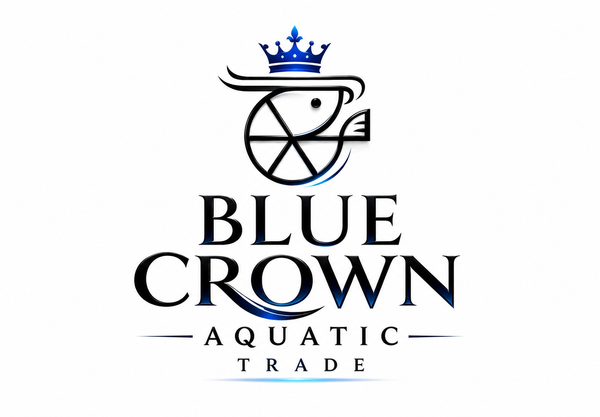 Blue Crown Aqua