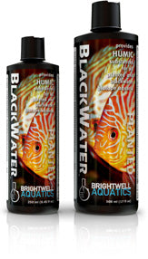 Brightwell Blackwater