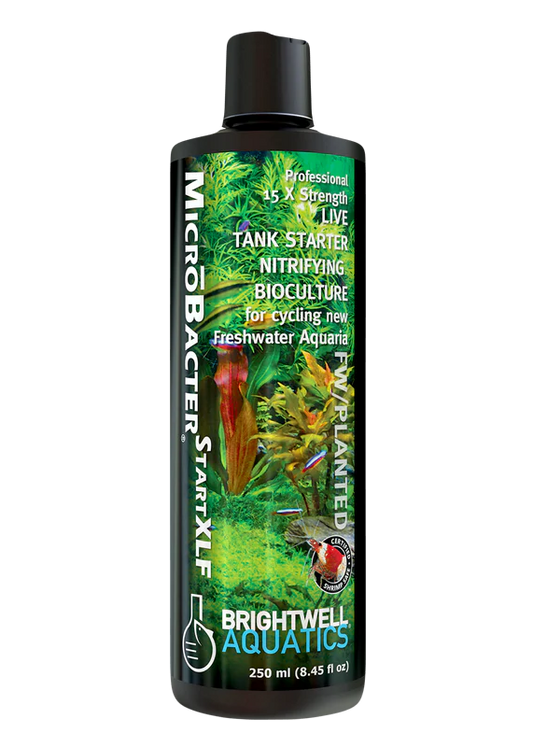 Brightwell Microbacter7
