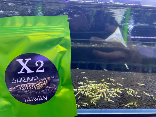 X2 Spirulina Algea Tablets 30 grams