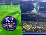 X2 Spirulina Algea Tablets 30 grams