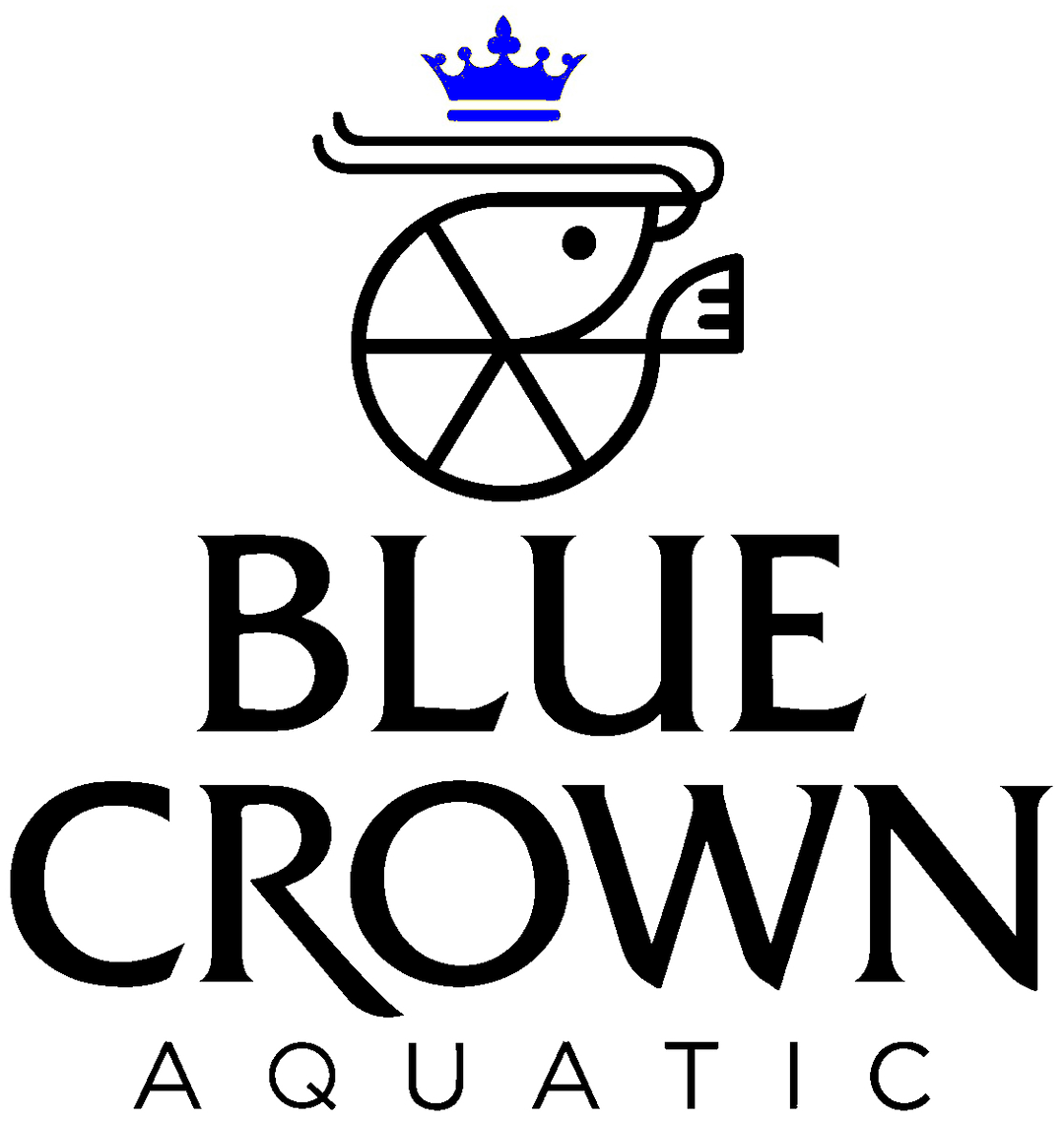 Metallic Blue Crown Aqua metallic-blue-crown-aqua