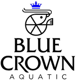 Blue Crown Aquatic