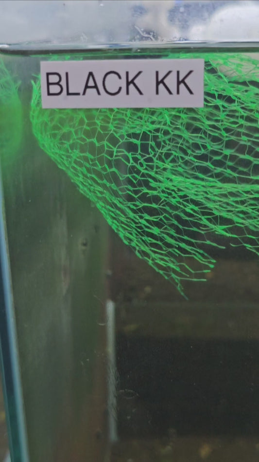 Black King Kong  plus for DOA