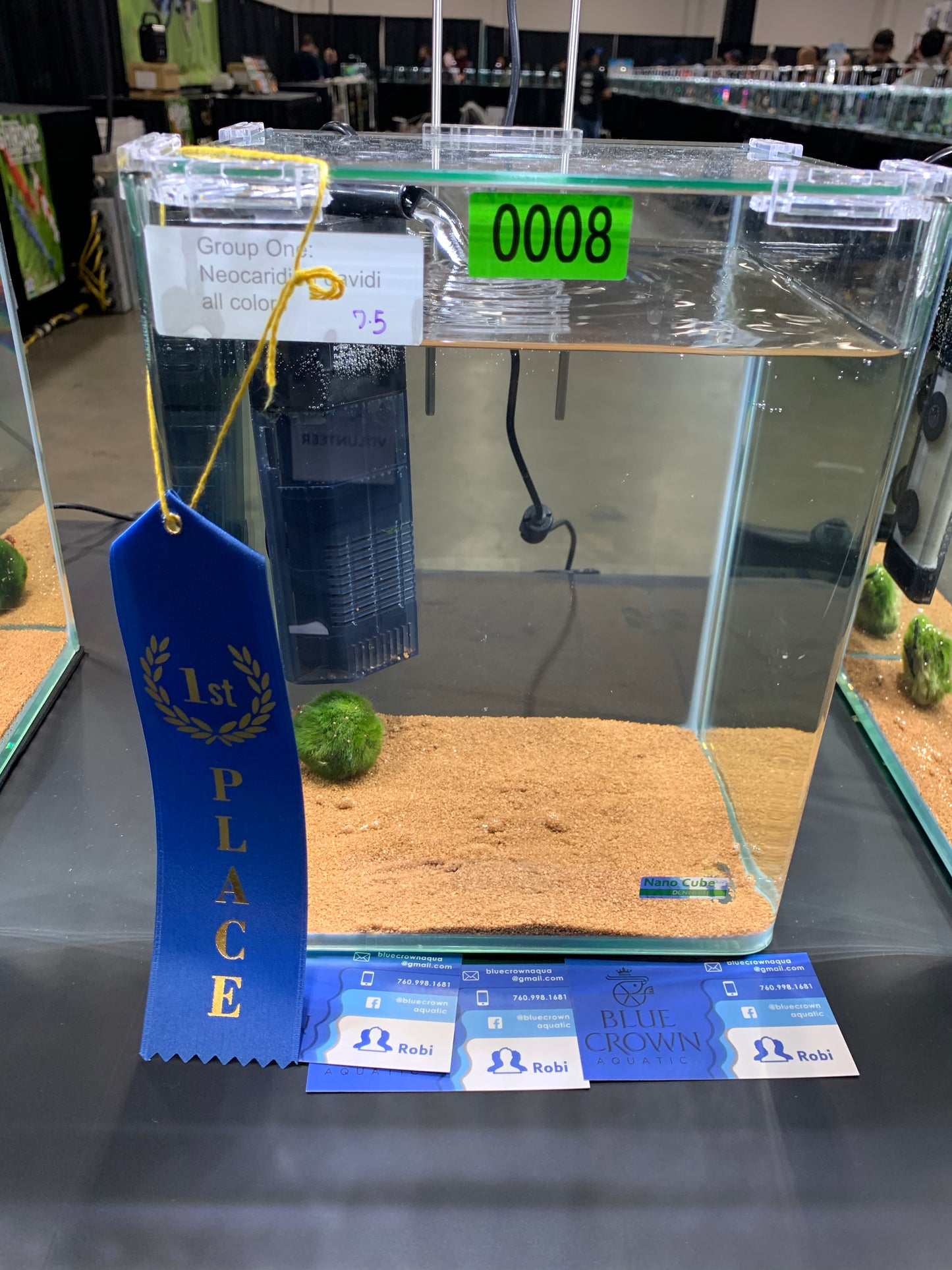 Green Emerald (PACK OF 5+1 for DOA extra)