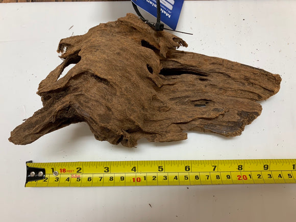 Malaysian Driftwood Medium